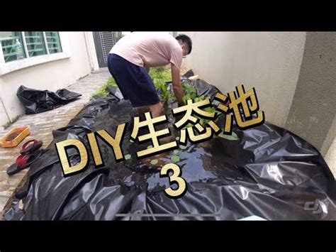 魚池植物|收藏！你家的魚池水景里有這6種水生植物嗎？連過濾系統都省了